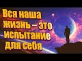 Вся наша жизнь – это испытание для себя | Абсолютный Ченнелинг