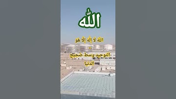 سورة النساء - الآية ٨٧ | لا إله إلا هو | تلاوة عراقية وسط صوت المصانع
