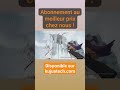 Abonnement annuel crunchyroll mga fan pas cher sur kujua tech