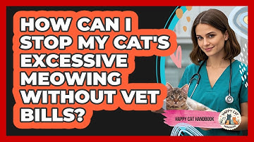 How Can I Stop My Cat