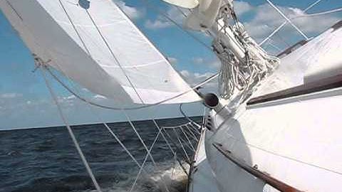 Reflections Of Windward