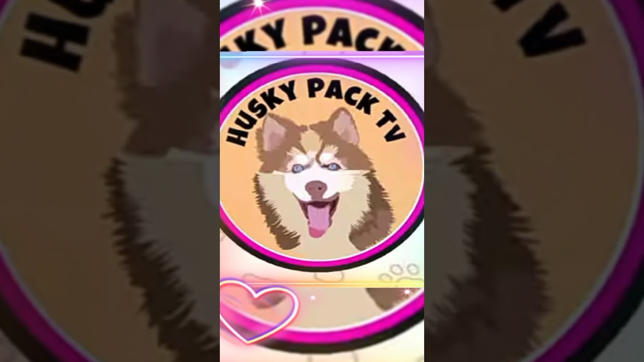 Husky Pack Tv Hehehe🥺❤️