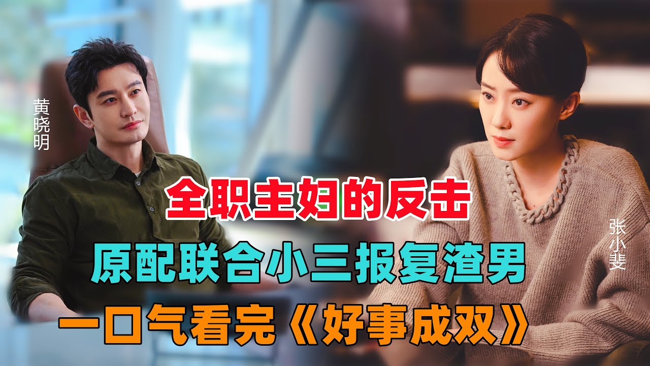 一口气看完《好事成双》原配联手小三收拾渣男，超爽过瘾！#大鱼解说