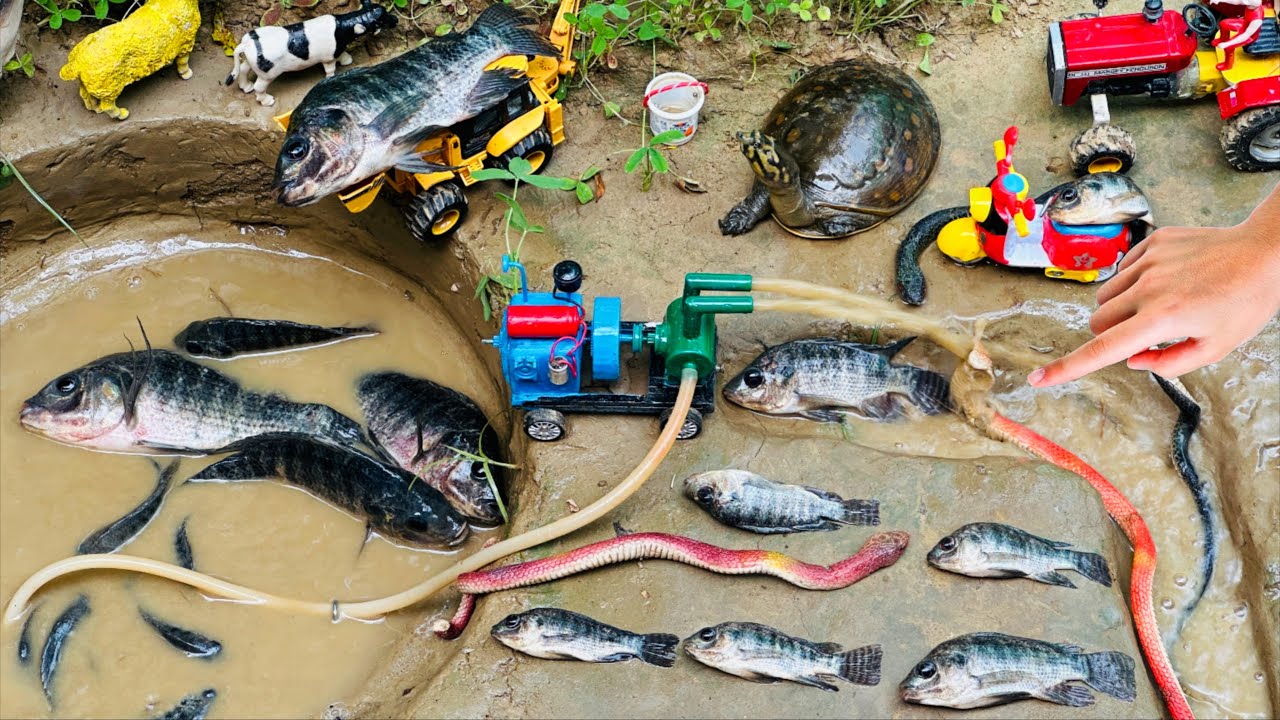 DIY POWERFUL Mini Diesel Engine Water Pump for Fish Pond Science Project 🐟