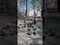 Lisa feeds pigeons in the park Gomel Belarus e3 #shorts