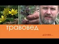 Травовед. Боярышник. Рассказывает Моряков Сергей Викторович