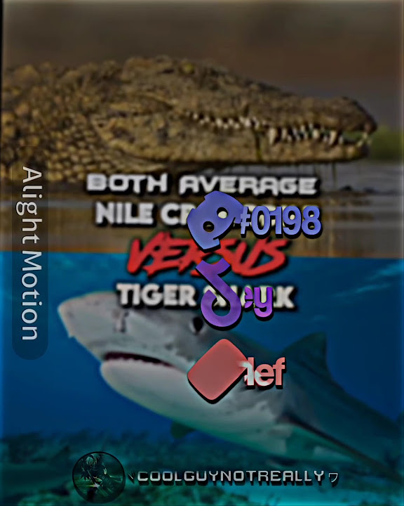 Nile Crocodile Vs Tiger Shark #wisedit - YouTube