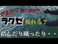 【タイラバ釣り】がまかつラグゼ タイラバXが折れるのか...青物？タイ？