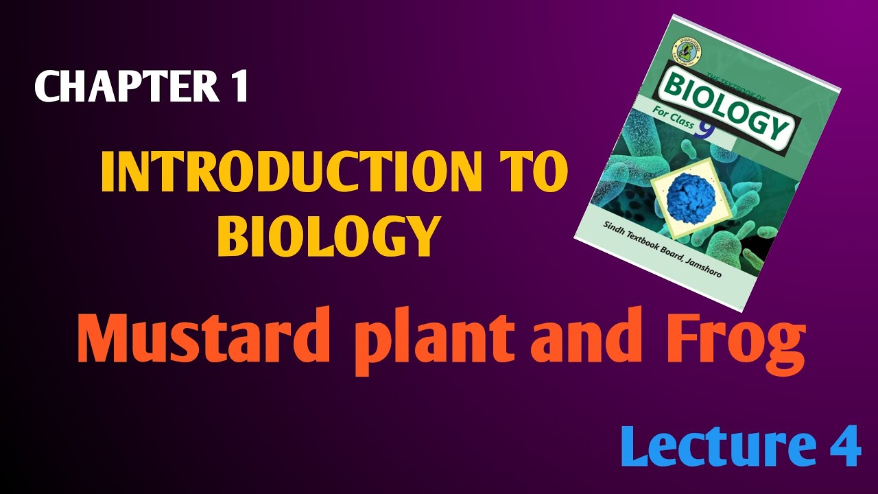 mustard plant class 9 frog class 9 biology introduction to biology
