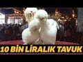 Osmanlı Süs Tavuğu 10 Bin TL'ye Satıldı