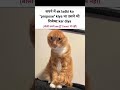 propose kiya#relatable#lofi#status#lofichill#aestheticstatus#aesthetic#memes#tweetreels#funnymemes
