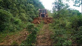 Very outstanding job BULLDOZER D6R XL cleaning the long-abandoned plantation road