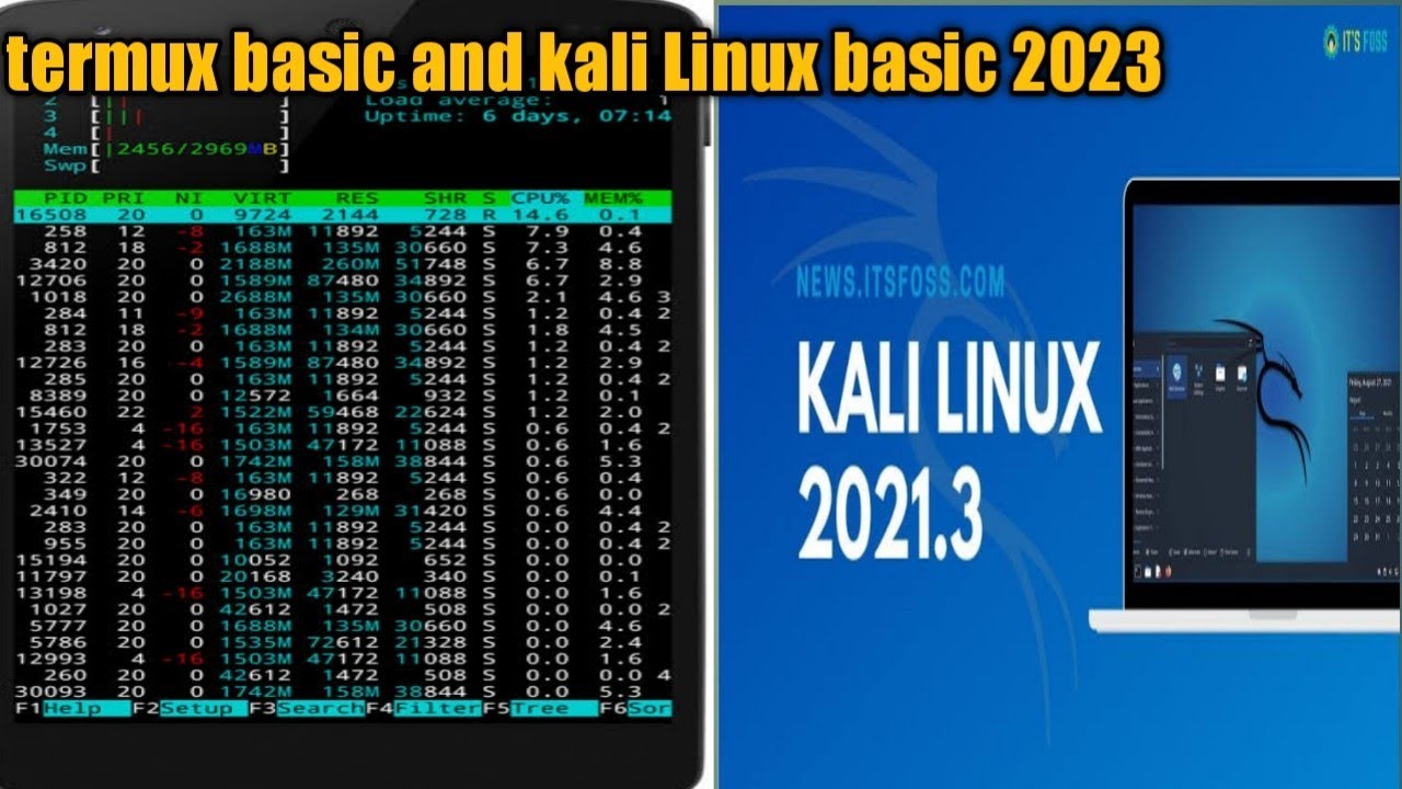 termux basic and kali Linux basic 2023