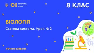 8 клас. Біологія.Статева система. Урок № 2 (Тиж.9:ВТ)