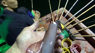 đi Câu mực đầu mùa trúng mánh/ squid fishing in Vietnam