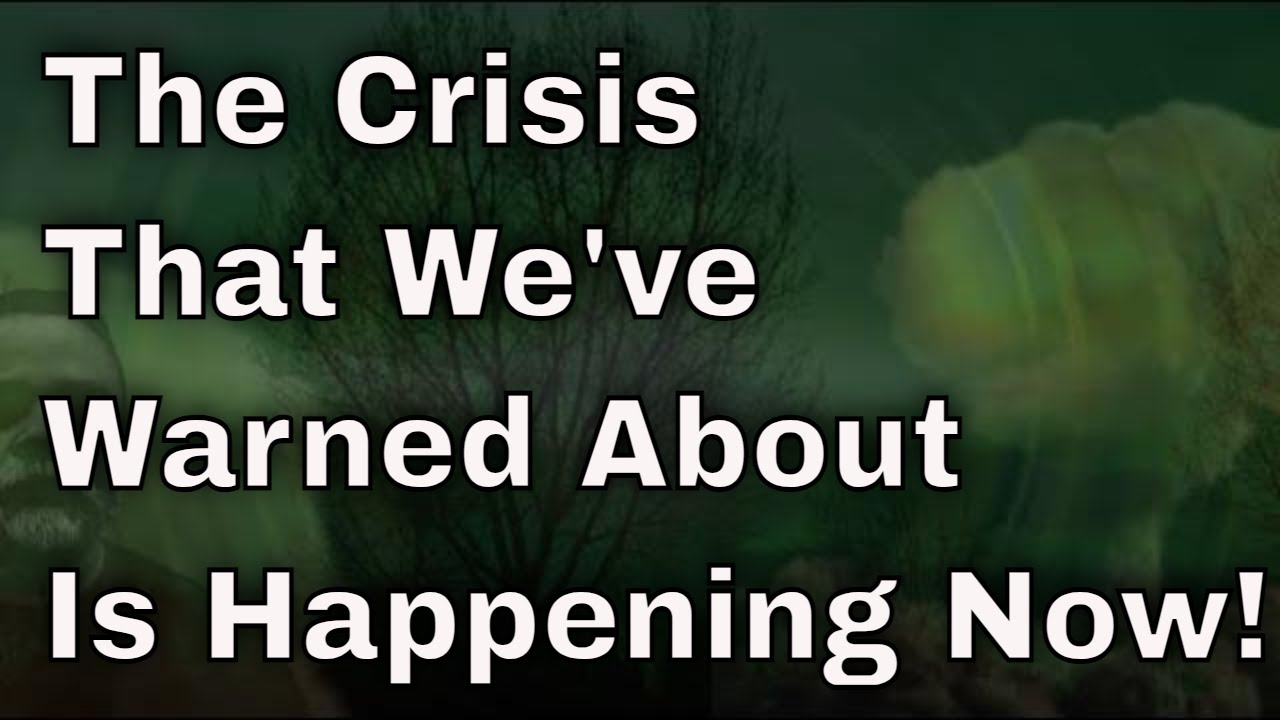 The Crisis That We've Warned About Is Happening Now! Watch This Video