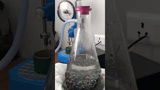 Gmm Specific Gravity Of Paving Mix