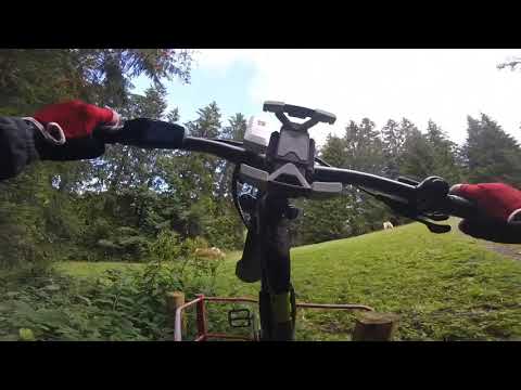 Allgäu-1/2-Seeentour-Niedersonthofener zum Rottachsee- KULTUR-RAD-TOUREN.