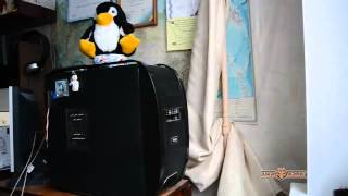 Best Epic Cat Funny Fail Compilation 2015 Part 2 - LiveLeak TV 2015