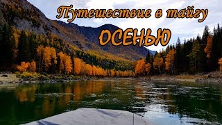 видео: АЛТАЙ - рыбалка на реке КАТУНЬ #1/Забрались в глушь на лодке Выдра, Solar + Tohatsu, а тут местные картинка: АЛТАЙ - рыбалка на реке КАТУНЬ #1/Забрались в глушь на лодке Выдра, Solar + Tohatsu, а тут местные