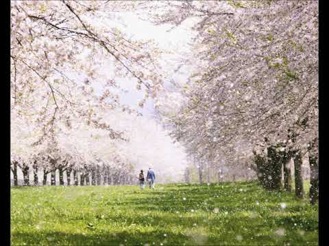 サライ・小池ちひろ編曲カラピアノ（MIDI）