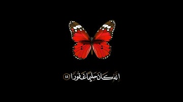 صباح الخير اجمل حالات واتس اب مقاطع قصيره قرآن كريم وان من شيء الا يسبح بحمده احمد العجمي بدون حقوق
