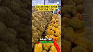 Kenapa Durian Semakin Banyak Tapi Tetap Mahal? Ini Rahasianya! 🤯✨"