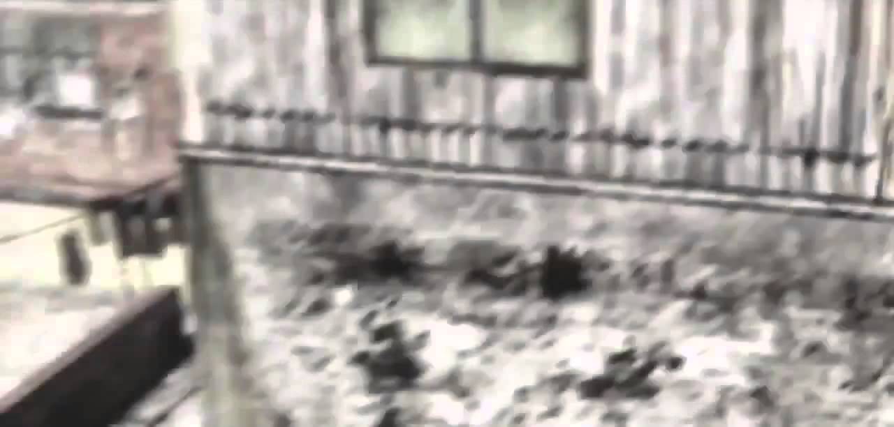 Chill Edit  Fantastic Flow - Very Good CoD Edit!