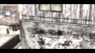 Chill Edit  Fantastic Flow - Very Good CoD Edit! Net Worth