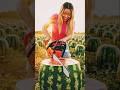 Chainsaw VS Watermelon So Juicy 🍉 #shorts #asmr #watermelon