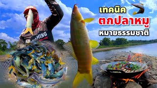 ตกปลาหมู หมายแม่น้ำใหญ่ เทคนิคนี้กินดี ได้เยอะมาก 💥 โคตรลำ 🔥 Ab-Fishing