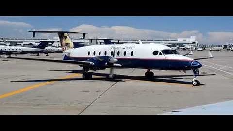 Trauma - The Mighty Beech 1900D