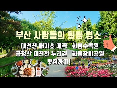 대천천