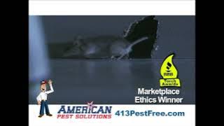 Is there a Mouse or Rat in your house ? Help is here at www.413pestfree.com