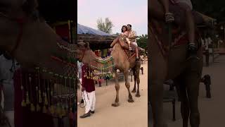 Camel ride #camelride #chokidhani #jaipur #jaipurdiaries