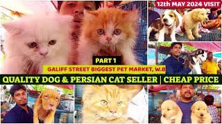 Galiff Street Quality Dog Puppy Seller|गालिफ़ स्ट्रीट डॉग सेलर|Cheap Price|Price Negotiable| 12/05/24