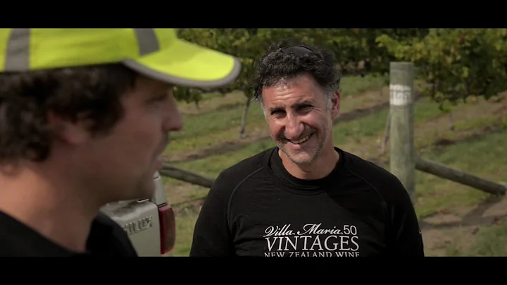 Villa Maria Wines
