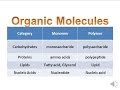 Organic Molecules and Polymers Concepts