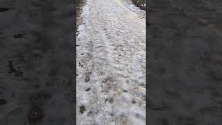Природа и Зима - ❄️ Снег Тает в Лесу ? Nature Winter 4k Snow in the Forest Shorts Video