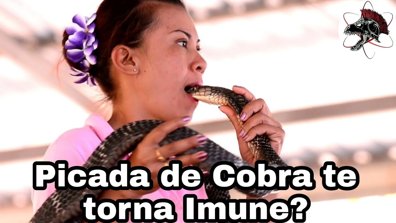 Injetar peçonha de Cobra  te da imunidade? | Biólogo Henrique o Biólogo das Cobras