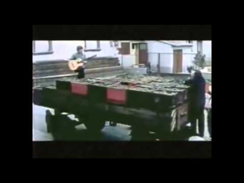 შენ არ მუშაობ!