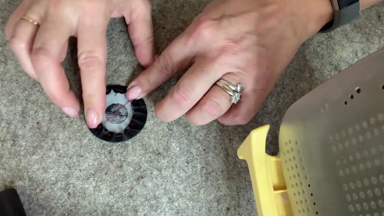 Perfect circles by karen Kay Buckley