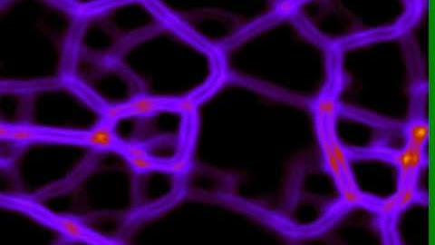 Self-organizing multi-particle system (1)