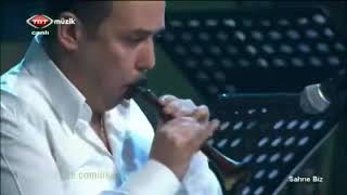 Serpil Sarı Halaylar Resimi