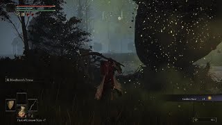 ELDEN RING - weird death (bug)