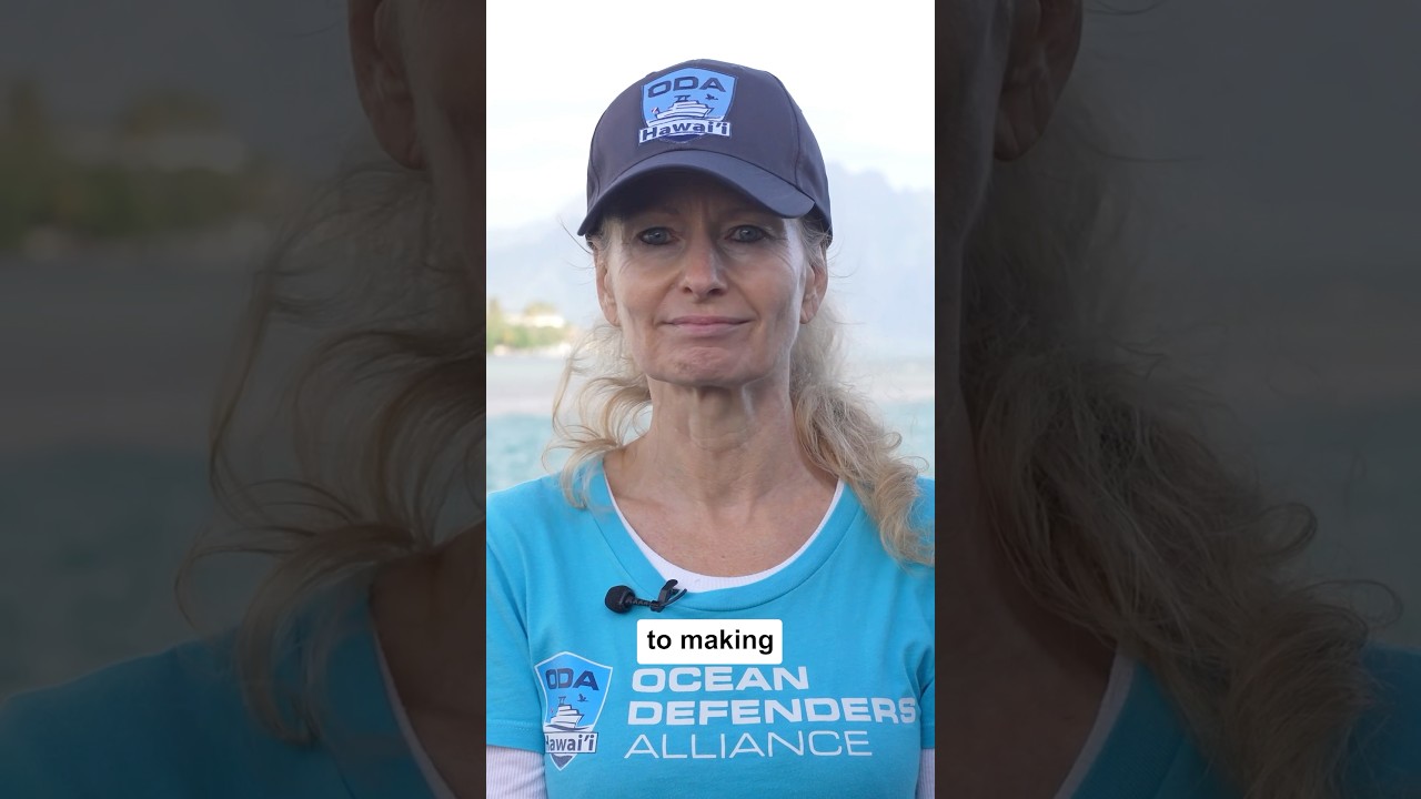 Passionate people coming together for the greater good of our ocean ecosystem 🐠🐬🪸