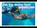 【グアムフィッシュアイマリンパーク】シュノーケリング体験🐟