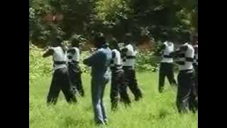 Amety Meria - Haminako