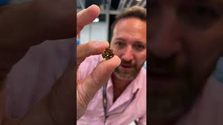 Watch Tourmaline Autumn video