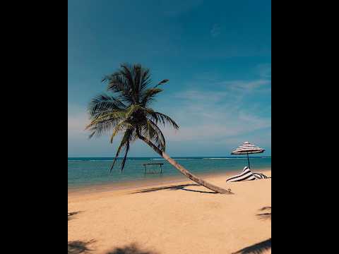 Pasikudah Beach Live Camera – Sri Lanka — Pasikudah, Eastern live camera thumbnail